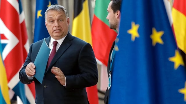 Ungarn sei eine Ein-Mann-Demokratie – zugeschnitten auf Orban, sagt Autor Dalos