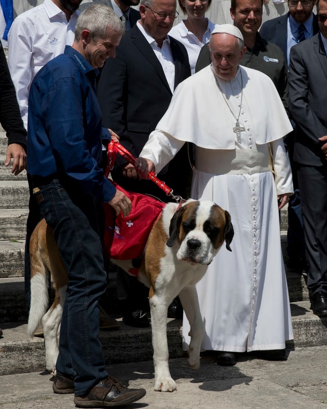 Zwei Männer streicheln einen Hund. Zwei Männer streicheln einen Hund.