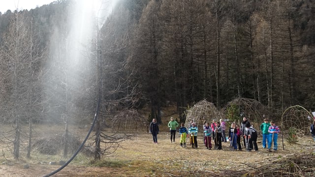 Gruppe auf einer Wiese Gruppe auf einer Wiese