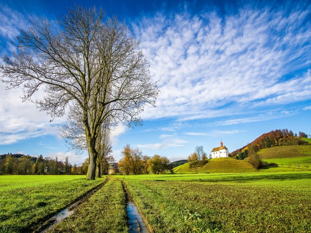 Regenpfützen und Sonnenschein