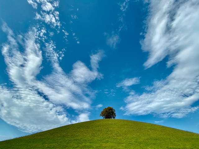 Linde auf Hügerl, einige Wolken verzieren den stahlblauen Himmel.