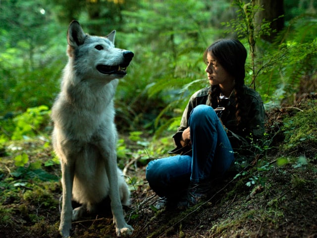 Shana und ein weisser Wolf im Wald. Shana und ein weisser Wolf im Wald.