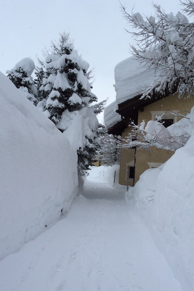 Rekordschneemengen gab es Ende Januar in Maloja. Rekordschneemengen gab es Ende Januar in Maloja.