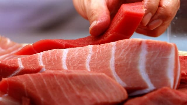 Verschiedene Sorten von Thunfisch - u.a. auch roter Thunfisch. Verschiedene Sorten von Thunfisch - u.a. auch roter Thunfisch.