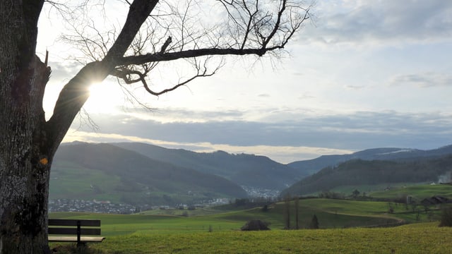 Im Oberbaselbiet sah es am 14. Dezember aus wie im März. Im Oberbaselbiet sah es am 14. Dezember aus wie im März.