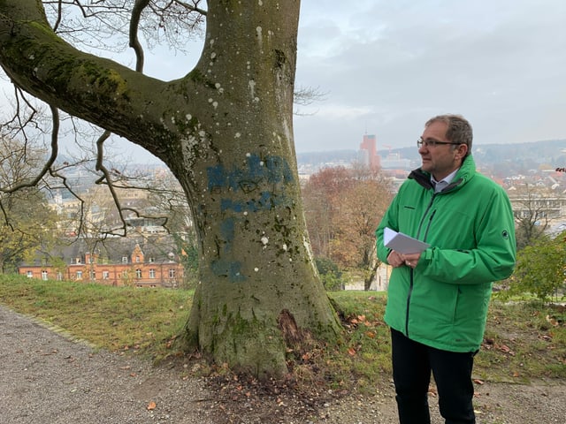 Mann vor Baum Mann vor Baum