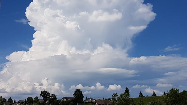 Riesiger Cumulonimbus vor blauem Himmel über Huttwil. Riesiger Cumulonimbus vor blauem Himmel über Huttwil.