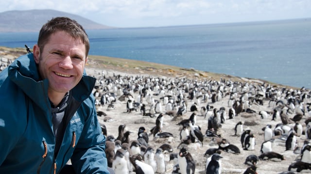 Video «Falkland» abspielen Video «Falkland» abspielen