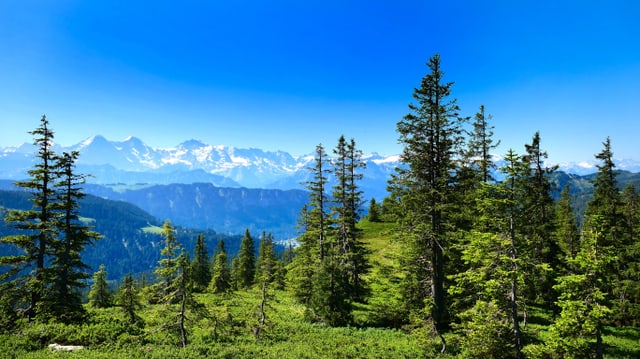 Blick vom Änzigrat auf Eiger, Mönch und Jungfrau. Blick vom Änzigrat auf Eiger, Mönch und Jungfrau.
