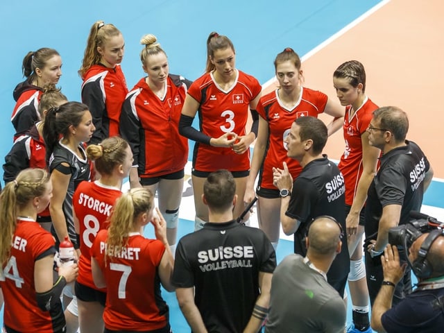 Volleyballer. Volleyballer.