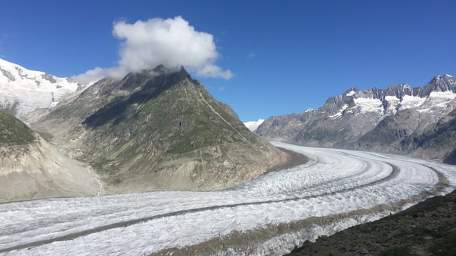 Blick auf den Aletschgletscher. Blick auf den Aletschgletscher.