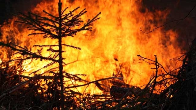 Ein Waldbrand in der Nacht Ein Waldbrand in der Nacht