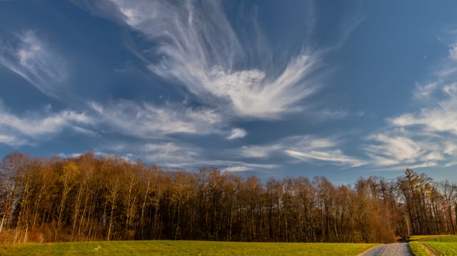 Cirren können auch als einzelne Federwolken auftreten. Cirren können auch als einzelne Federwolken auftreten.