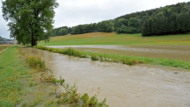 In der Nähe von Seewen/SO trat ein Bach über sein Ufer. In der Nähe von Seewen/SO trat ein Bach über sein Ufer.