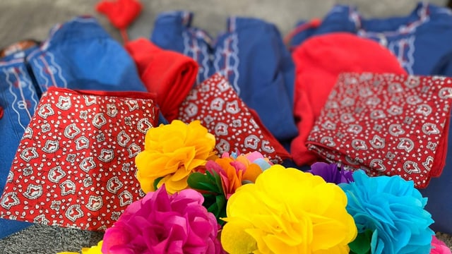 rosas da palpiri, chamischas blauas rosas da palpiri, chamischas blauas