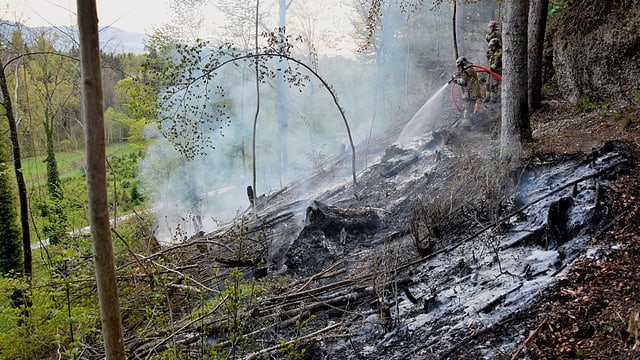 Wiesland in Brand bei Rapperswil-Jona. Wiesland in Brand bei Rapperswil-Jona.