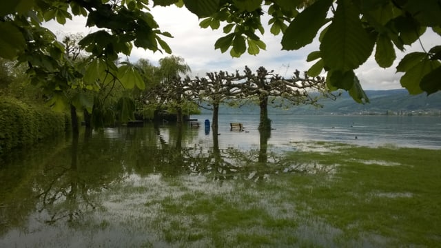 Am Bielersee, wie hier in Lüscherz, hatte sich die Lage am Dienstagmorgen noch nicht entspannt. Am Bielersee, wie hier in Lüscherz, hatte sich die Lage am Dienstagmorgen noch nicht entspannt.