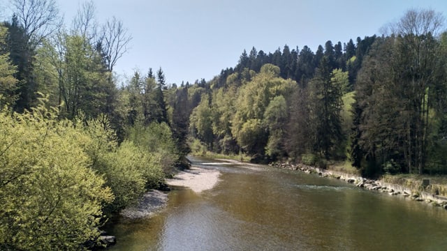 Ein Fluss mit Bäumen am Ufer. Ein Fluss mit Bäumen am Ufer.