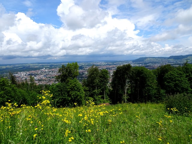 Am Mittag gab es in der Region Bern Sonne. Ringsum brodelt es. Aus Westen kommen starke, dunkle Wolken. Das Mittelland und der Jura erscheinen wie in Tinte eingetaucht.