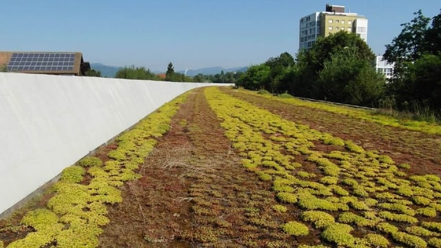 Begrünte Autobahnbedachung Begrünte Autobahnbedachung