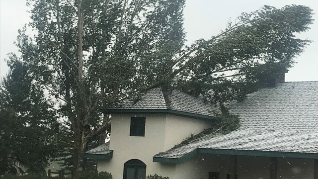 Blick auf Haus. Daneben Bäume, ein Baum liegt auf dem Haus. Blick auf Haus. Daneben Bäume, ein Baum liegt auf dem Haus.