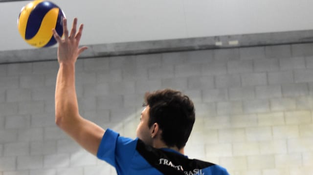 Volleyball Traktor Basel auf Erfolgskurs News SRF
