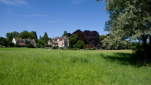 Das Schloss Seeburg in Kreuzlingen, davor eine grosse grüne Wiese. Das Schloss Seeburg in Kreuzlingen, davor eine grosse grüne Wiese.