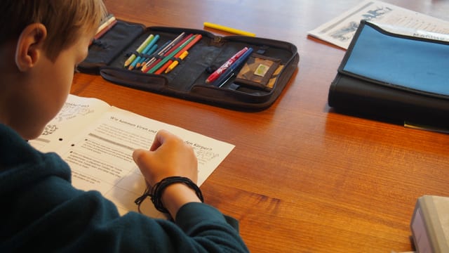 Ein Primarschüler beim Fernunterricht. Ein Primarschüler beim Fernunterricht.