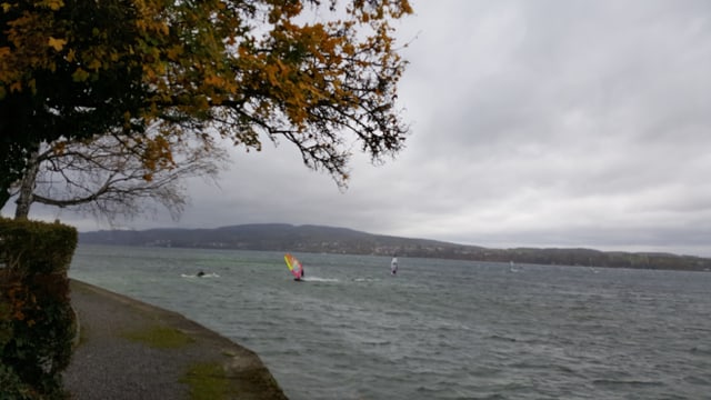 Surfer auf dem windgepeischten Bodensee. Surfer auf dem windgepeischten Bodensee.