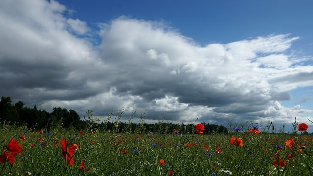 Wolken über Jegenstorf Wolken über Jegenstorf