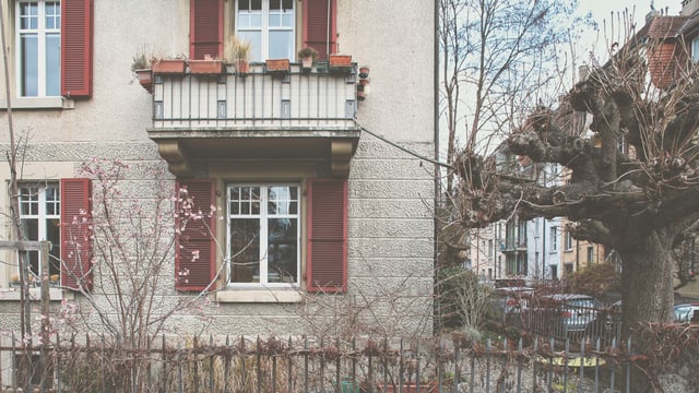 eine Katzenleiter, die vom Baum ins Haus führt eine Katzenleiter, die vom Baum ins Haus führt