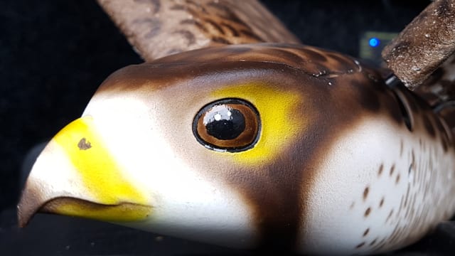 Der künstliche Falke Robird - Nahaufnahme des Gesichts. Der künstliche Falke Robird - Nahaufnahme des Gesichts.