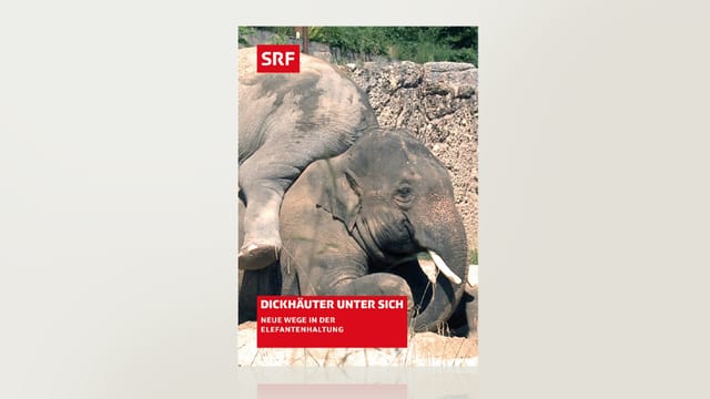 Dickhäuter unter sich Dickhäuter unter sich