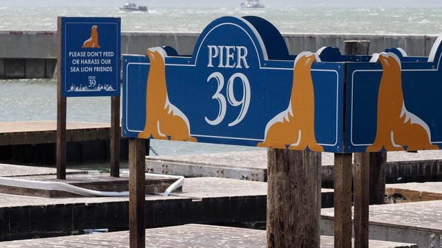 Schilder mit Seehunden am Pier 39 in San Francisco. Schilder mit Seehunden am Pier 39 in San Francisco.