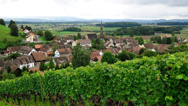 Landsgemeinde im Weinland (7.6.2013)
