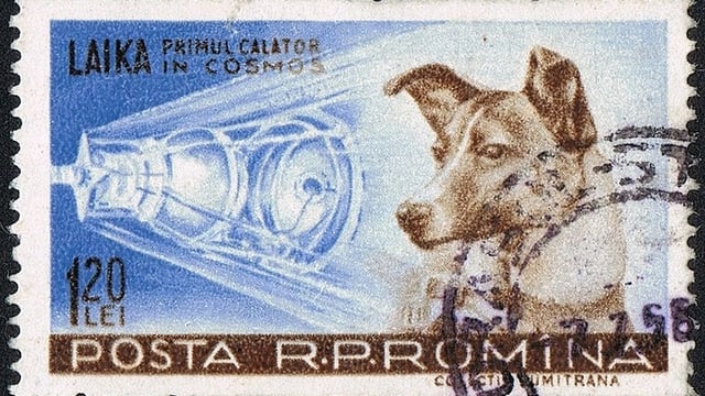 Eine Briefmarke der rumänischen Post zeigt die Hündin Laika, die im November 1957 auf ihrem Raumflug starb. Eine Briefmarke der rumänischen Post zeigt die Hündin Laika, die im November 1957 auf ihrem Raumflug starb.