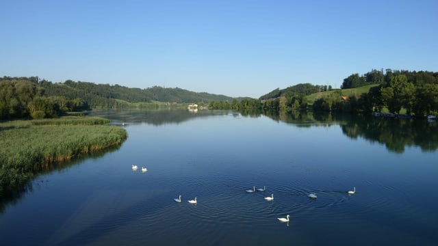 Blick über den blauen Wohlensee mit einem wolkenlosen Himmel. Blick über den blauen Wohlensee mit einem wolkenlosen Himmel.
