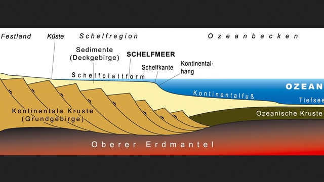 Die Schelfplattform (Festlandsockel) ist wegen der Bodenschätze wirtschaftlich interessant. Die Schelfplattform (Festlandsockel) ist wegen der Bodenschätze wirtschaftlich interessant.