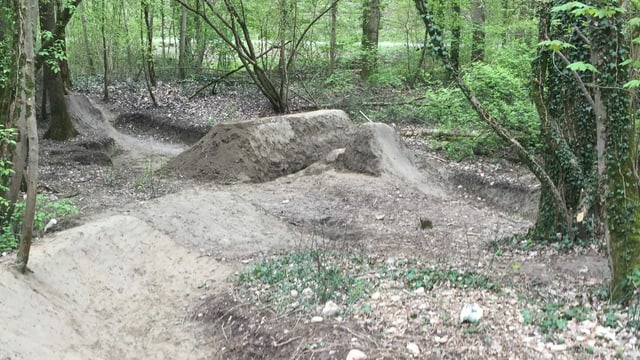 Eine illegale Bikestrecke in einem Wald. Eine illegale Bikestrecke in einem Wald.