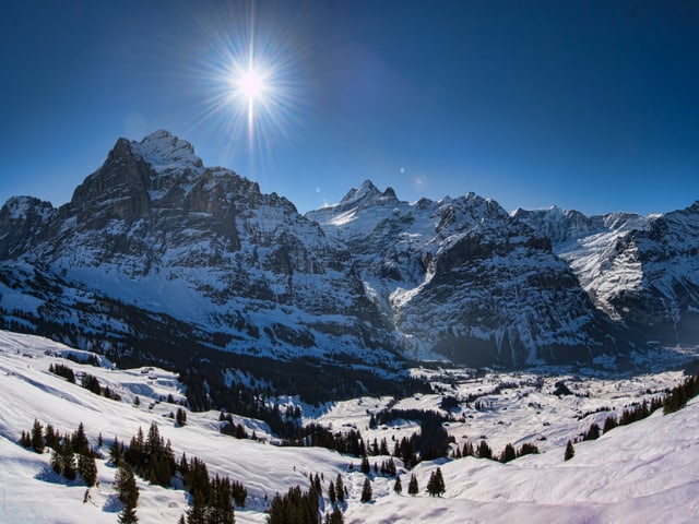 Stahlblauer Himmel mit Sonne, man blickt auf felsige und schneebedeckte Berge. Im Vordergrund weisse Wiesen mit ein paar Tannen.