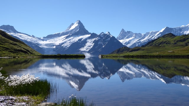 Foto des Bachalpsees Foto des Bachalpsees