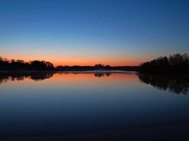 Sonnenaufgang über einem Weiher.
