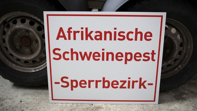 Ein Schild mit der Aufschrift: «Afrikanische Schweinepest – Sperrbezirk». Ein Schild mit der Aufschrift: «Afrikanische Schweinepest – Sperrbezirk».