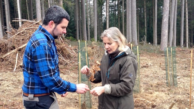 Ein Mann mit einem karierten Hemd (links) und eine Frau mit blonden Haaren. Ein Mann mit einem karierten Hemd (links) und eine Frau mit blonden Haaren.