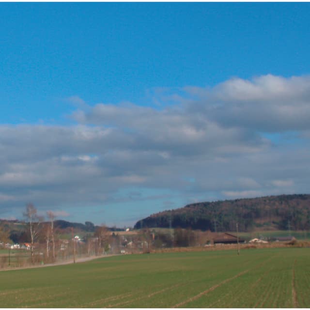 Längliche Wolkenfelder erstrecken sich über einem Wald. Längliche Wolkenfelder erstrecken sich über einem Wald.
