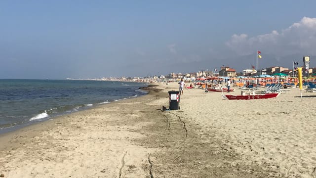 Eine Person mit einem Müllcontainer am Strand. Eine Person mit einem Müllcontainer am Strand.