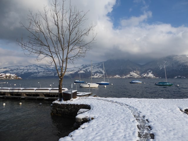Winter am See.
