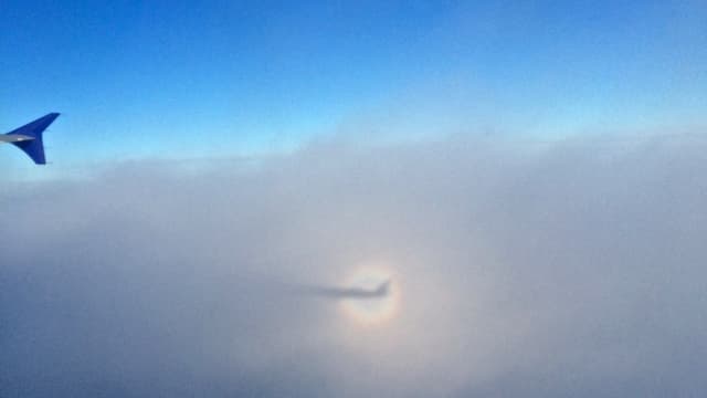 Blick vom Flugzeug auf eine Glorie im knapp tiefer liegenden Nebel. Blick vom Flugzeug auf eine Glorie im knapp tiefer liegenden Nebel.
