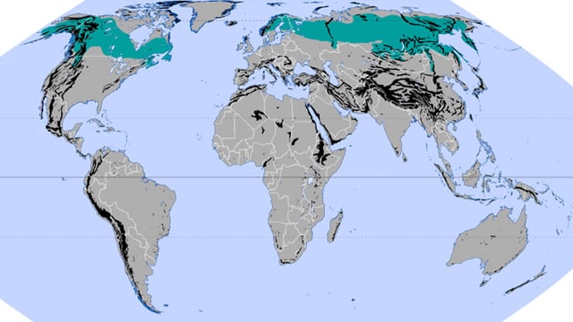 Auszug einer Karte, die den Gürtel der borealen Zone zeigt, basierend auf den Ökozonen nach Jürgen Schultz Auszug einer Karte, die den Gürtel der borealen Zone zeigt, basierend auf den Ökozonen nach Jürgen Schultz