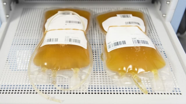 Gelblich-rötliches Blutplasma in Plastikbeutel Gelblich-rötliches Blutplasma in Plastikbeutel